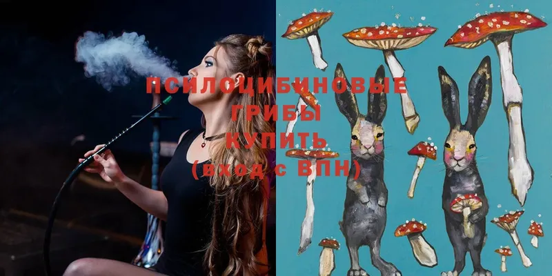 Псилоцибиновые грибы Magic Shrooms  ссылка на мегу ссылки  Новоаннинский 